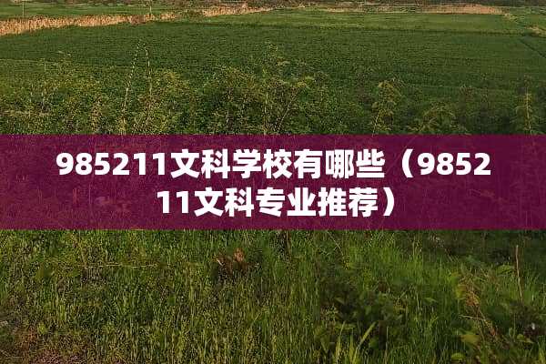 985211文科学校有哪些（985211文科专业推荐）