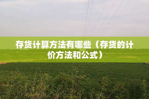 存货计算方法有哪些（存货的计价方法和公式）