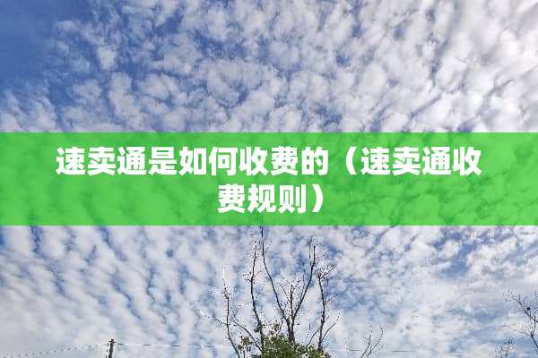 速卖通是如何收费的（速卖通收费规则）
