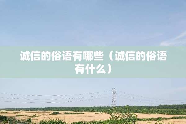 诚信的俗语有哪些（诚信的俗语有什么）