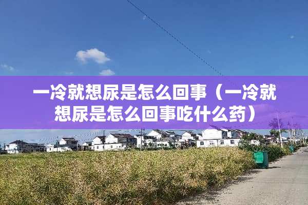 一冷就想尿是怎么回事（一冷就想尿是怎么回事吃什么药）