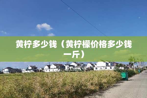 黄柠多少钱（黄柠檬价格多少钱一斤）