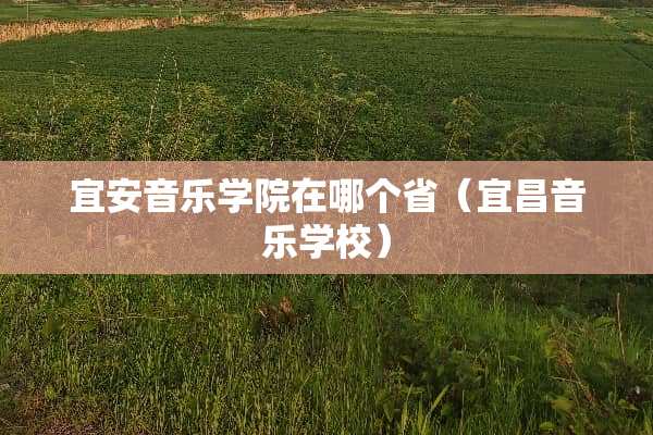 宜安音乐学院在哪个省（宜昌音乐学校）