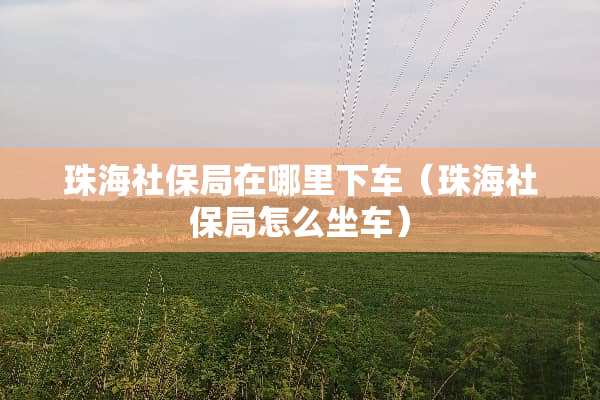 珠海社保局在哪里下车（珠海社保局怎么坐车）