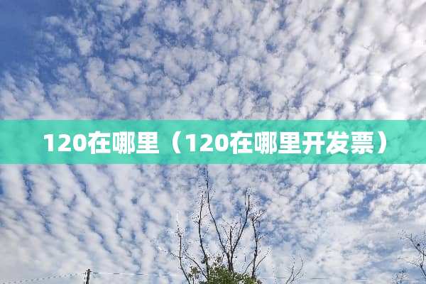 120在哪里（120在哪里开**）