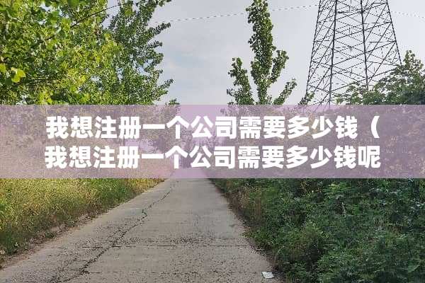 我想注册一个公司需要多少钱（我想注册一个公司需要多少钱呢）