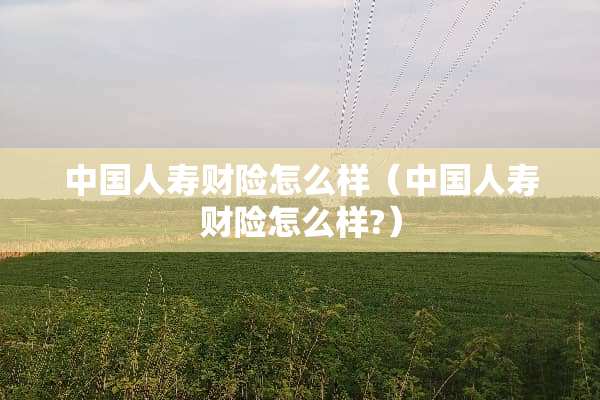 中国人寿财险怎么样（中国人寿财险怎么样?）