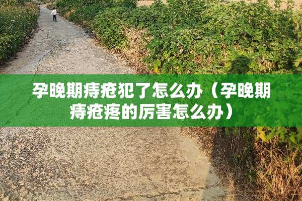 孕晚期痔疮犯了怎么办（孕晚期痔疮疼的厉害怎么办）