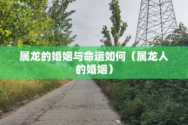 属龙的婚姻与命运如何（属龙人的婚姻）