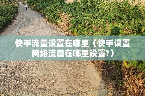 快手流量设置在哪里（快手设置网络流量在哪里设置?）