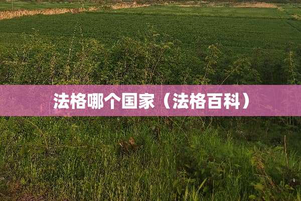 法格哪个国家（法格百科）