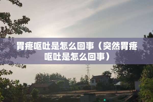 胃疼呕吐是怎么回事（突然胃疼呕吐是怎么回事）