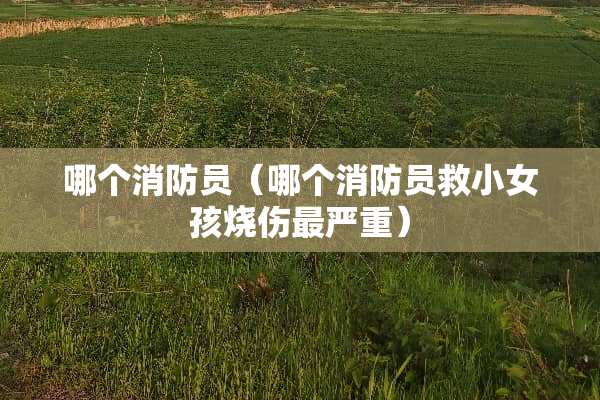 哪个消防员（哪个消防员救小女孩烧伤最严重）