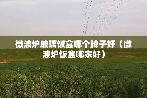 微波炉玻璃饭盒哪个牌子好（微波炉饭盒哪家好）