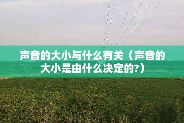 声音的大小与什么有关（声音的大小是由什么决定的?）