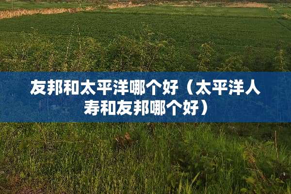 友邦和太平洋哪个好（太平洋人寿和友邦哪个好）