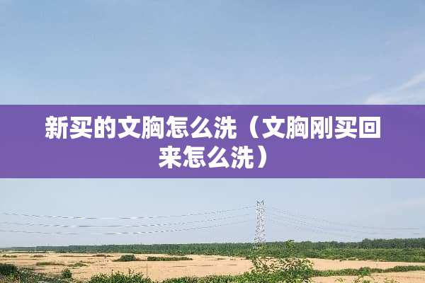 新买的文胸怎么洗（文胸刚买回来怎么洗）