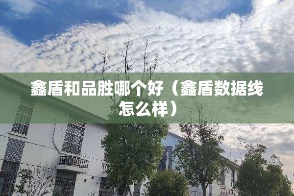 鑫盾和品胜哪个好（鑫盾数据线怎么样）