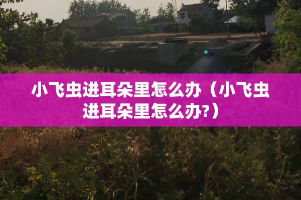 小飞虫进耳朵里怎么办（小飞虫进耳朵里怎么办?）