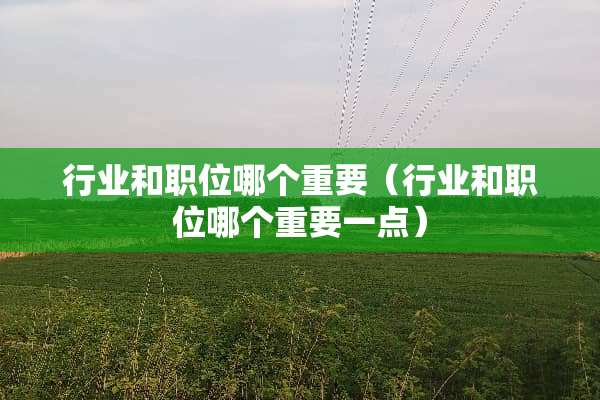 行业和职位哪个重要（行业和职位哪个重要一点）