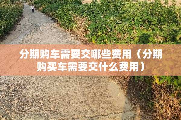 分期购车需要交哪些费用（分期购买车需要交什么费用）