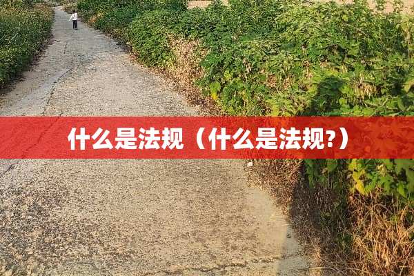 什么是法规（什么是法规?）