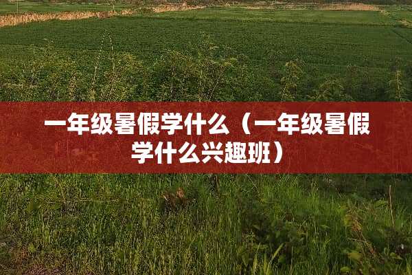 一年级暑假学什么（一年级暑假学什么兴趣班）