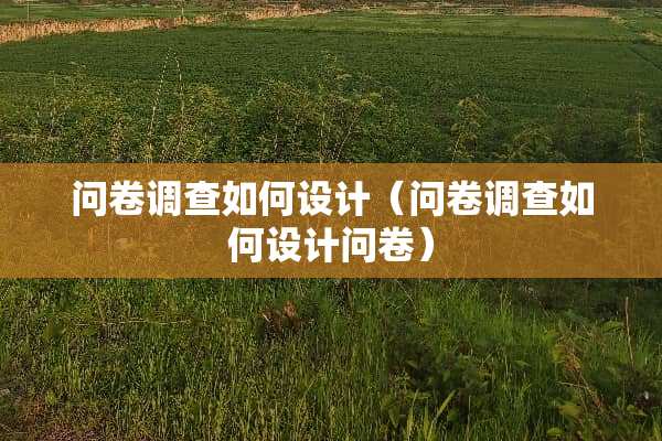 问卷调查如何设计（问卷调查如何设计问卷）