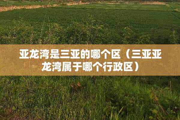 亚龙湾是三亚的哪个区（三亚亚龙湾属于哪个行政区）