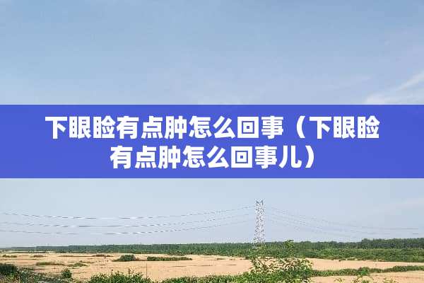 下眼睑有点肿怎么回事（下眼睑有点肿怎么回事儿）