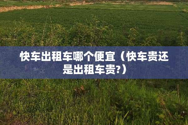快车出租车哪个便宜（快车贵还是出租车贵?）