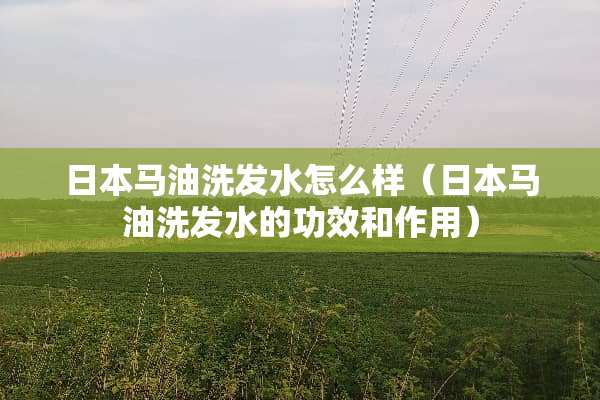 日本马油洗发水怎么样（日本马油洗发水的功效和作用）