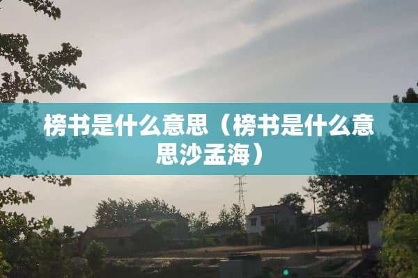榜书是什么意思（榜书是什么意思沙孟海）