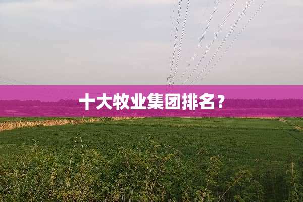十大牧业集团排名？