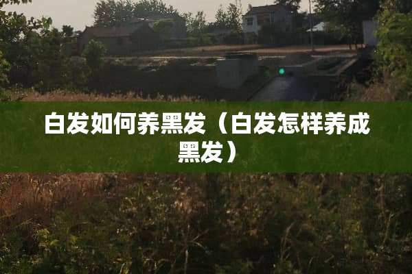 白发如何养黑发（白发怎样养成黑发）