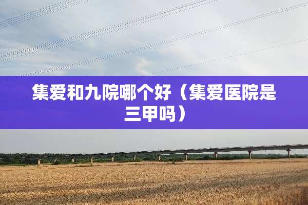 集爱和九院哪个好（集爱医院是三甲吗）