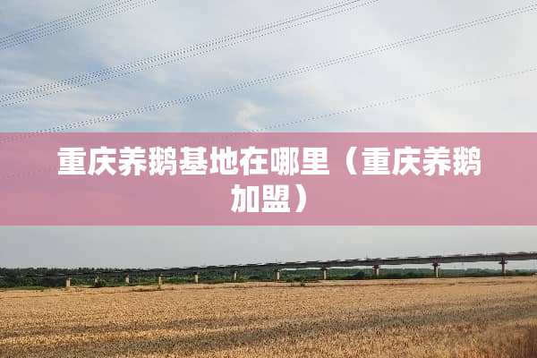 重庆养鹅基地在哪里（重庆养鹅加盟）