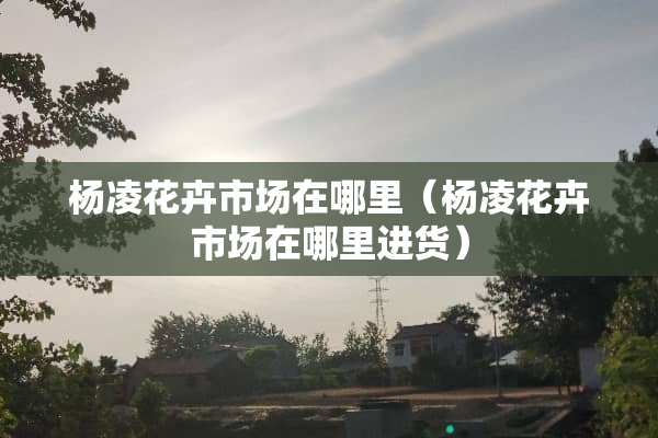 杨凌花卉市场在哪里（杨凌花卉市场在哪里进货）