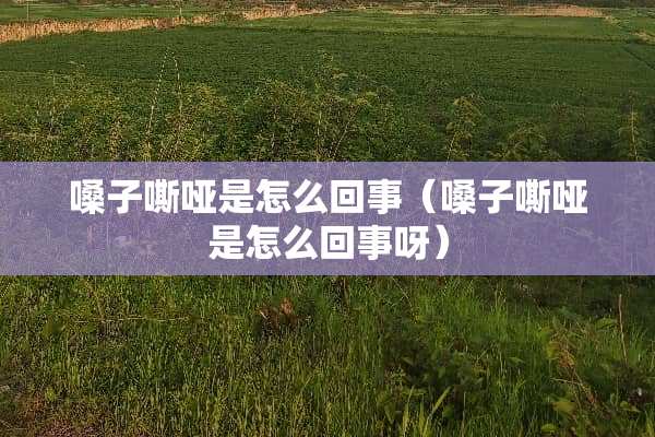嗓子嘶哑是怎么回事（嗓子嘶哑是怎么回事呀）