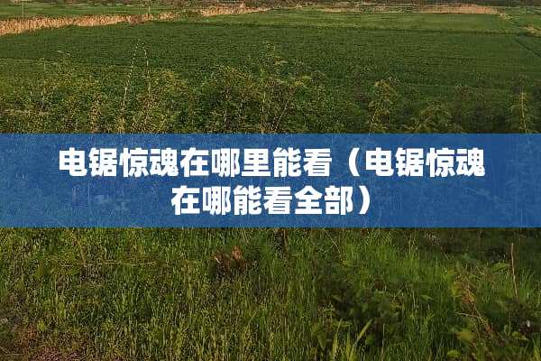 电锯惊魂在哪里能看（电锯惊魂在哪能看全部）