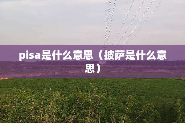 pisa是什么意思（披萨是什么意思）