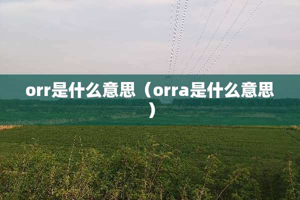 orr是什么意思（orra是什么意思）