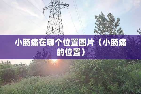 小肠痛在哪个位置图片（小肠痛的位置）