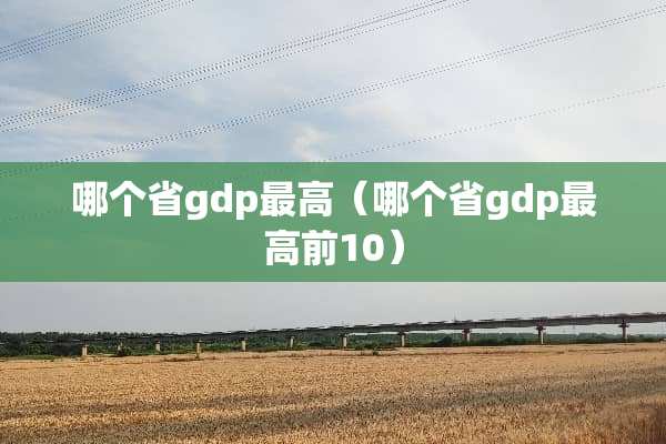 哪个省gdp最高（哪个省gdp最高前10）