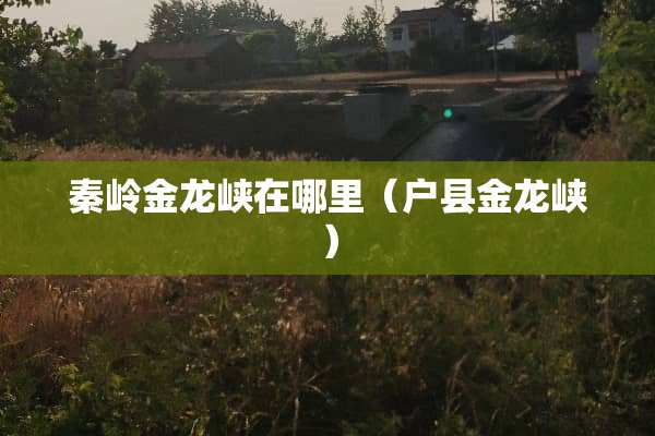 秦岭金龙峡在哪里（户县金龙峡）