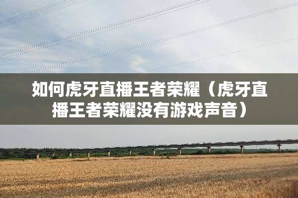 如何**直播王者荣耀（**直播王者荣耀没有游戏声音）