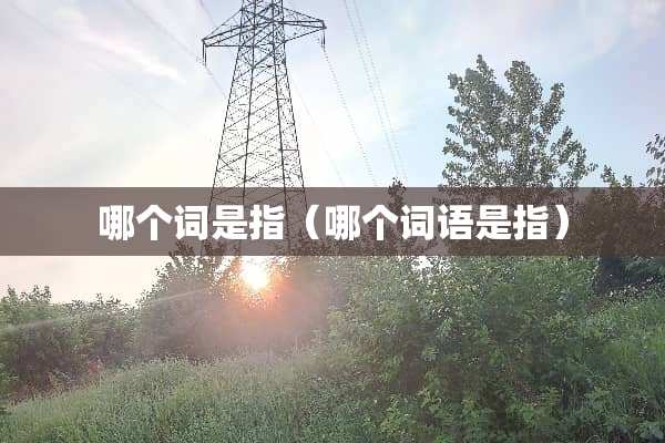 哪个词是指（哪个词语是指）