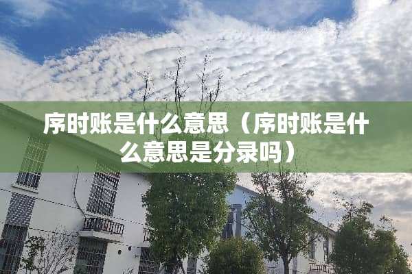 序时账是什么意思（序时账是什么意思是分录吗）