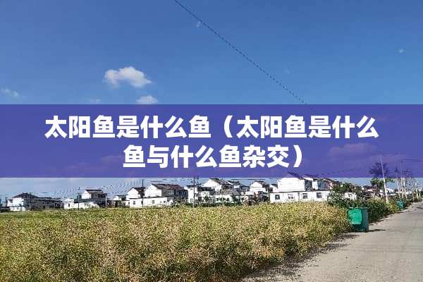 太阳鱼是什么鱼（太阳鱼是什么鱼与什么鱼杂交）