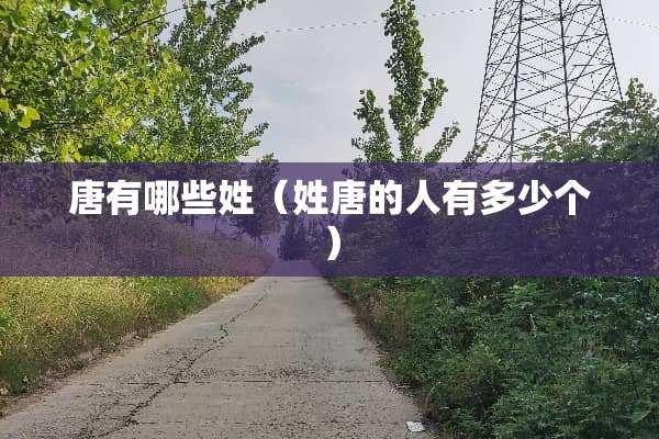 唐有哪些姓（姓唐的人有多少个）
